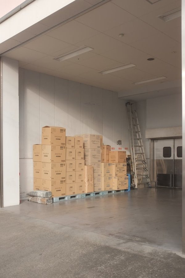 les services de conception de packaging pour mettre en valeur vos produits